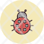 beetle-bug-ladybug-spring-summer-nature-icon