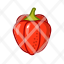 bell-pepper-food-vegetable-ingredients-organic-vegeterian-fresh-healthy-icon