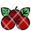berries-fruit-cranberries-red-icon