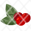 berries-icon