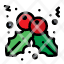 berry-christmas-holly-icon