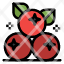 berry-cranberry-fruit-thanksgiving-icon
