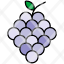 berry-grapes-wine-fruit-fleshy-green-icon