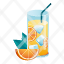 beverage-citrus-cocktail-juice-orange-refreshment-icon