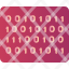 binary-code-website-programming-developer-icon