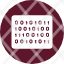 binary-code-website-programming-developer-icon