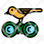 binoculars-birdwatching-hobby-survey-icon