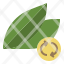 bio-energy-green-clean-icon