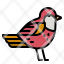 bird-animal-animals-fly-wings-icon