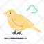 bird-british-small-sparrow-icon