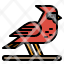 bird-cardinal-zoo-animal-ornithology-icon