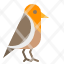 bird-robin-pet-animals-small-icon