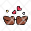 birds-love-couple-ducks-icon