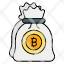 bitcoin-bag-money-currency-cash-icon