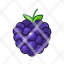 blackberry-fruit-food-ingredients-restaurant-fresh-vegetarian-icon