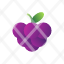 blackberry-healthy.fruit-icon