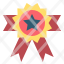 blackfriday-badge-achievement-award-star-icon