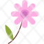 bloom-blossom-chamomile-easter-floral-flower-spring-icon
