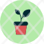 bloom-daisy-farming-flower-nature-plant-pot-potted-icon