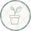 bloom-daisy-farming-flower-nature-plant-pot-potted-icon