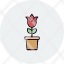 bloom-farming-flower-nature-plant-planter-pot-potted-roses-tulip-gardening-icon