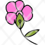 blossom-flower-nature-orchid-plant-tropical-icon
