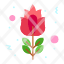 blossom-flower-red-rose-icon