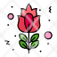 blossom-flower-red-rose-icon
