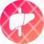 body-health-human-internal-liver-medical-organ-icon-vector-design-icons-icon