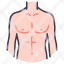 body-male-anatomy-human-people-person-icon