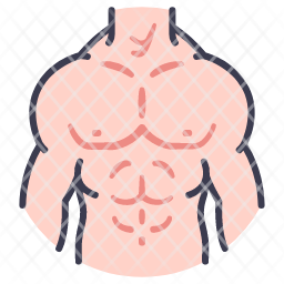 body icon, male icon, muscle icon, anatomy icon, fitness icon, model ...