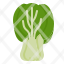 bok-choy-vegetable-chinese-cabbage-icon