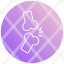 bones-skeleton-skull-bone-medical-halloween-icon