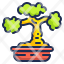 bonsai-botanical-chinese-plant-pot-nature-farming-icon