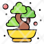bonsai-chinese-japanese-plant-tree-icon
