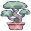 bonsai-garden-gardening-growth-japanese-leaf-icon