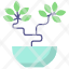 bonsai-icon