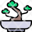 bonsai-japan-plant-nature-botanical-festival-icon