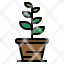botanic-gardening-plant-flower-pot-nature-icon