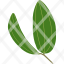 botanical-botany-bush-forest-leaf-leaves-plant-icon