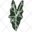 botanical-botany-herb-herbal-leaf-leaves-plant-icon