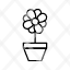botanical-icon