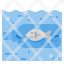 bottle-environment-fish-pollution-sea-icon