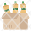 bottles-box-delivery-goods-packaging-icon
