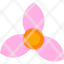bougainvillea-flower-bloom-flowers-garden-plant-icon