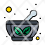 bowl-herbal-saucer-icon