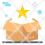 box-surprize-star-package-delivery-icon