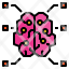brain-anatomy-icon