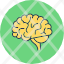 brain-brainbrainstorm-creativity-genius-human-memory-psychology-icon-icon