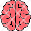 brain-communicationcreative-intellectual-knowledge-mind-thinking-icon
